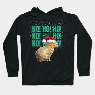 Capybara Christmas and HO! HO! HO! Cute capybara Hoodie